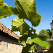 Gästebegrüßung 3 (c)Gästeinformation Bad Rodach