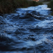 Naturführung In der Rodach ist was los (c)pixabay